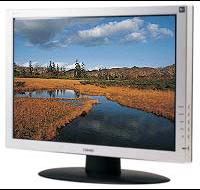 22" Widescreen LCD Monitor